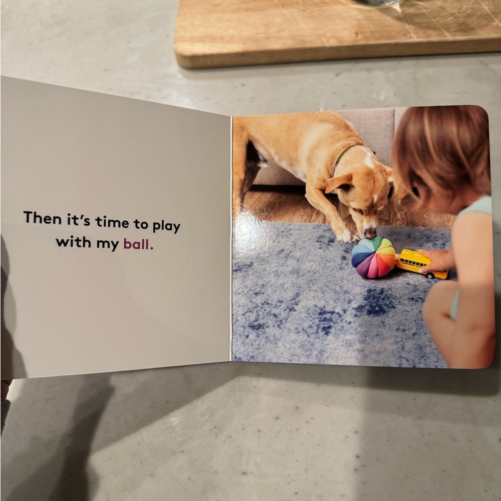 Lovevery Book - My First Words - Picture 11 of 15